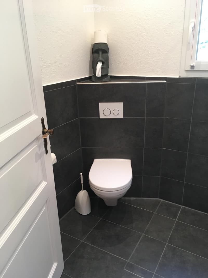 Modern bathroom with black tiled walls and floor, white toilet, toilet paper holder, toilet brush, and light switch.