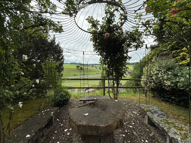 Garden area with a wooden bench, tree stump table, and metal archway covered in climbing roses, overlooking a rural landscape.