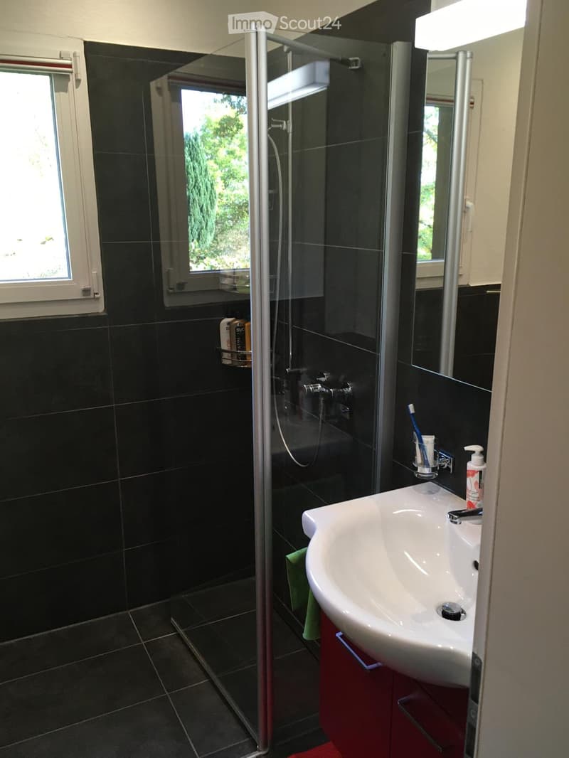 Modern bathroom with black tiled walls and floor, white sink, red cabinet, glass-enclosed shower, and a large mirror above the sink.