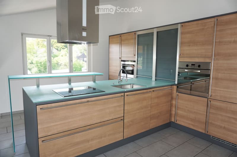 modern kitchen with wooden cabinets, glass countertop, stainless steel appliances, sink, induction cooktop