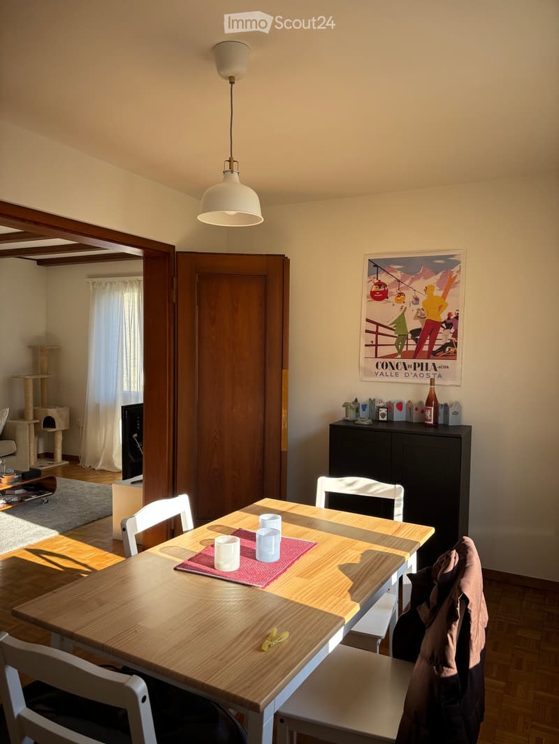 A well-lit dining area with a wooden table, white chairs, and a hanging pendant light. A cat tree is visible in the background, along with a poster on the wall and a cabinet with various items on top.