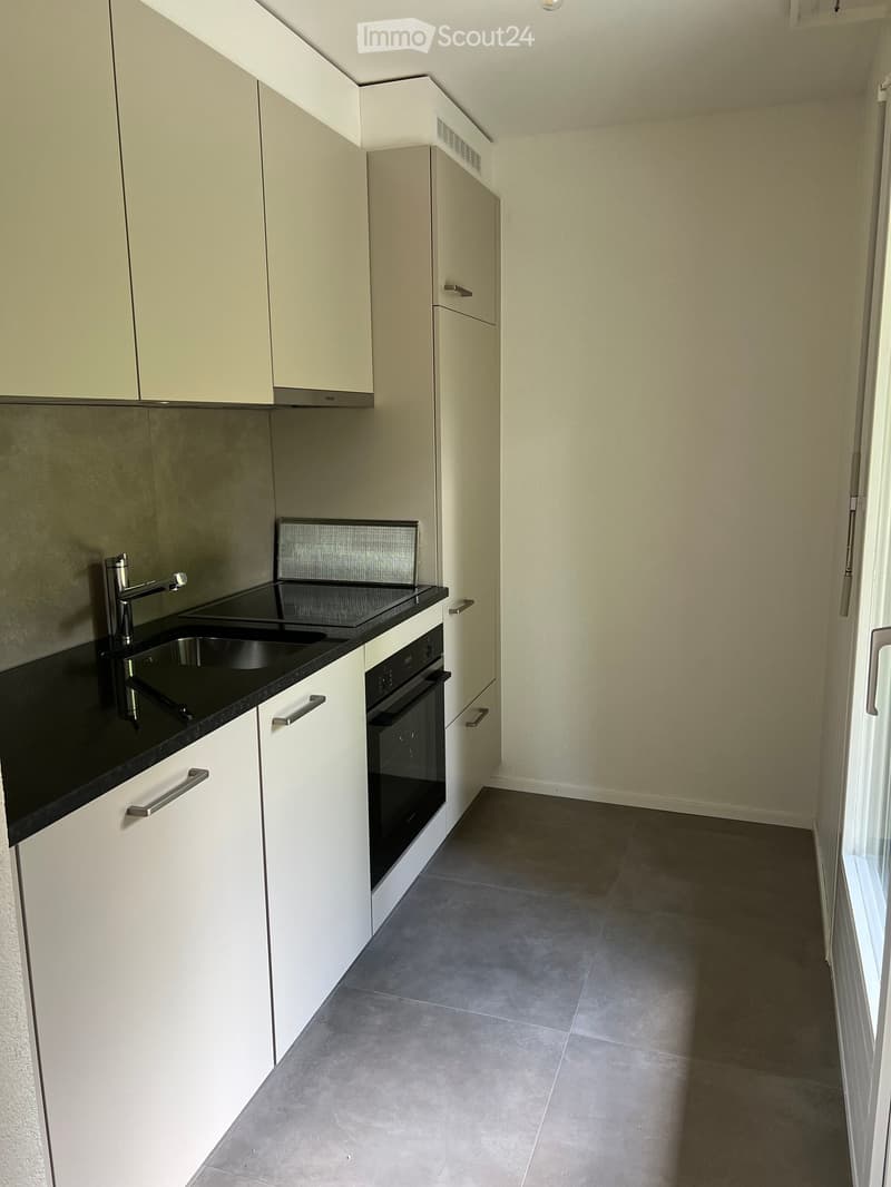 Modern kitchen with white cabinets, black countertop, stainless steel sink, and built-in oven.