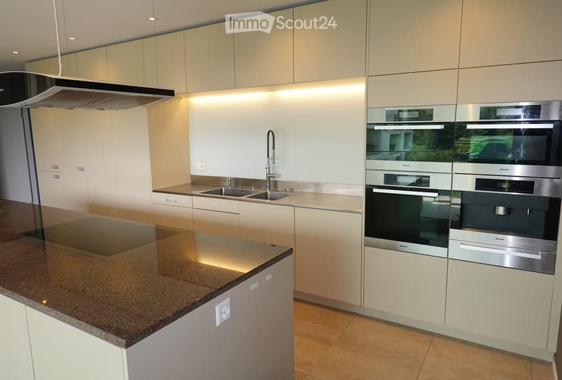 Modern kitchen with light-colored cabinets, stainless steel appliances, granite countertop, and a central island with built-in induction cooktop.
