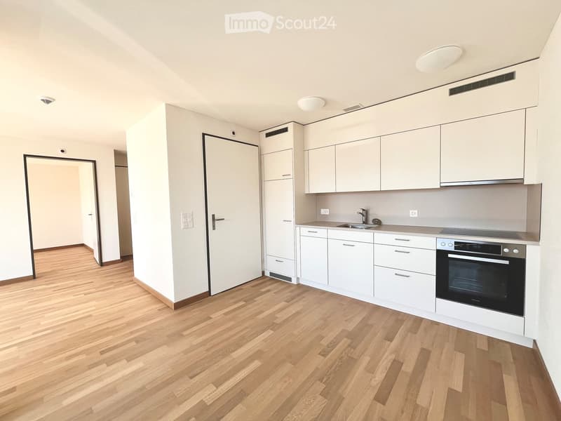 Kitchen with white cabinets, wooden floor, stainless steel sink, dishwasher, built-in oven.