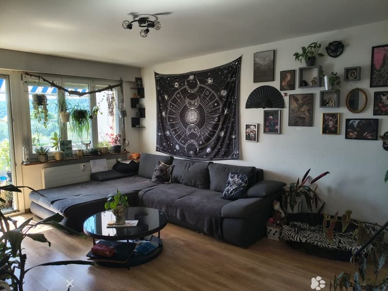 Modern living room with grey sectional sofa, glass coffee table, books, plants, and wall art including a large tapestry and framed pictures.