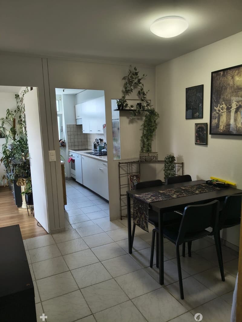 Dining area with a table and chairs, adjacent kitchen with white cabinets, fridge, and oven. Potted plants and artwork on the walls.