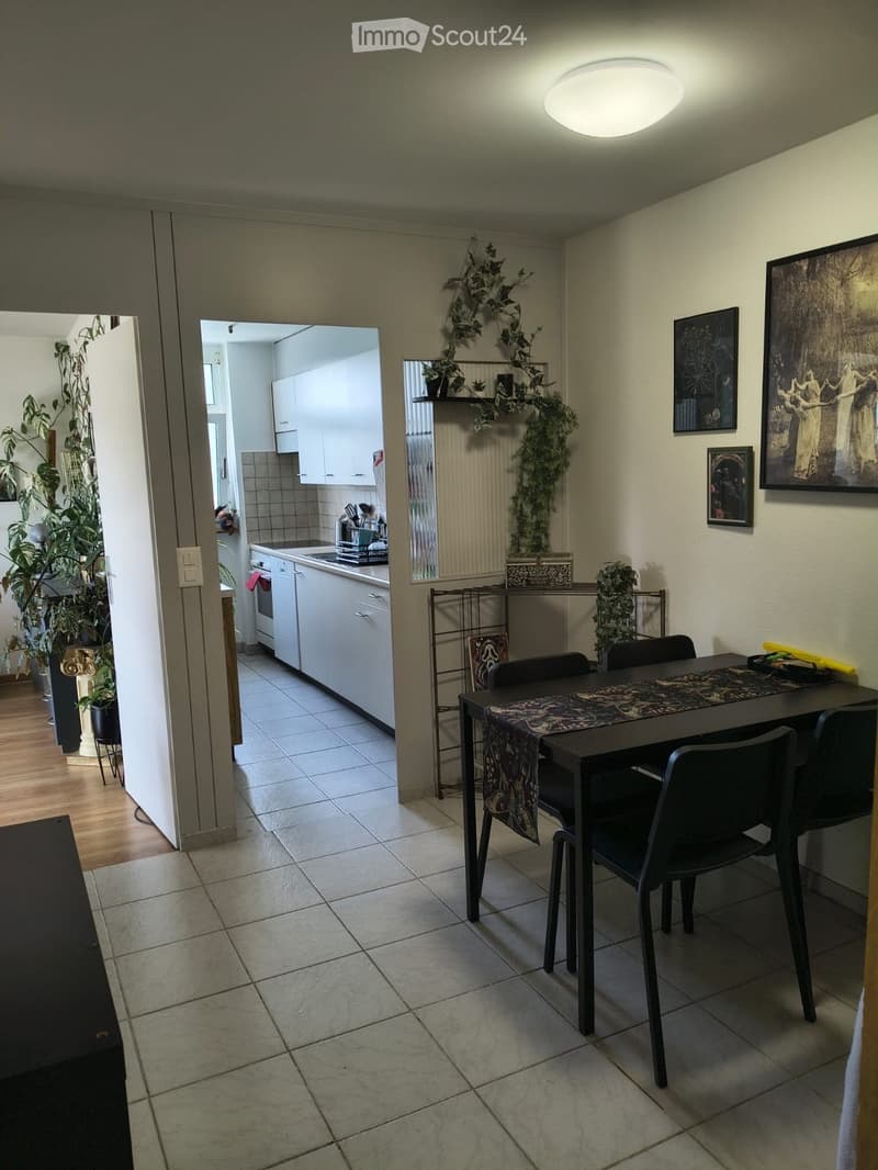 Dining area with a table and chairs, adjacent kitchen with white cabinets, fridge, and oven. Potted plants and artwork on the walls.