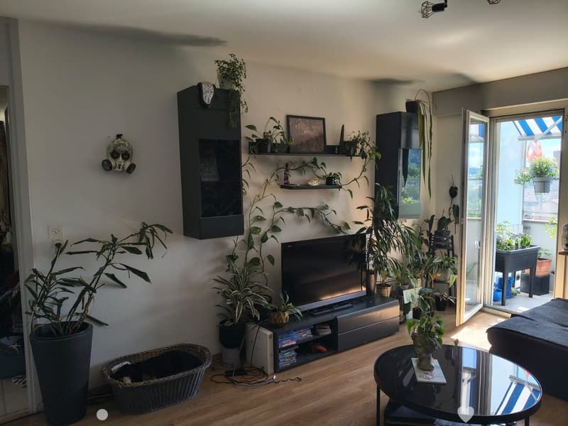 Modern living room with wooden flooring, large television, sofa, coffee table, and several potted plants. Features an open sliding door leading to a balcony.