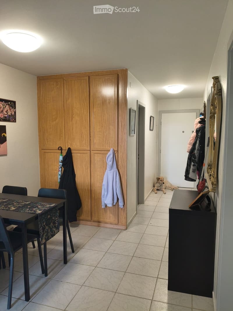 Hallway with tiled floor, wooden closet, coats hanging, dog resting, small table with items, and a dining area visible on the left side.