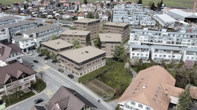 Aerial view of a residential area with multiple buildings, some with brown roofs, others with gray roofs, surrounded by trees and grass, with a road in the middle.
