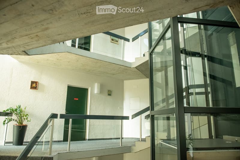 Modern hallway with glass elevator, staircase, potted plant, and framed artwork on the wall.