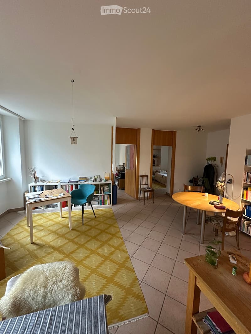 Bright living space with a mix of modern and cozy furniture, including a sofa, dining table, chairs, bookshelf, and a small plant on a side table.