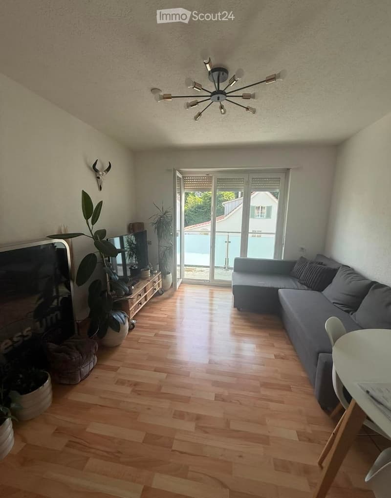 Modern living room with wooden flooring, grey sectional sofa, coffee table, dining chair, TV, and plants. Features a balcony with outdoor view.