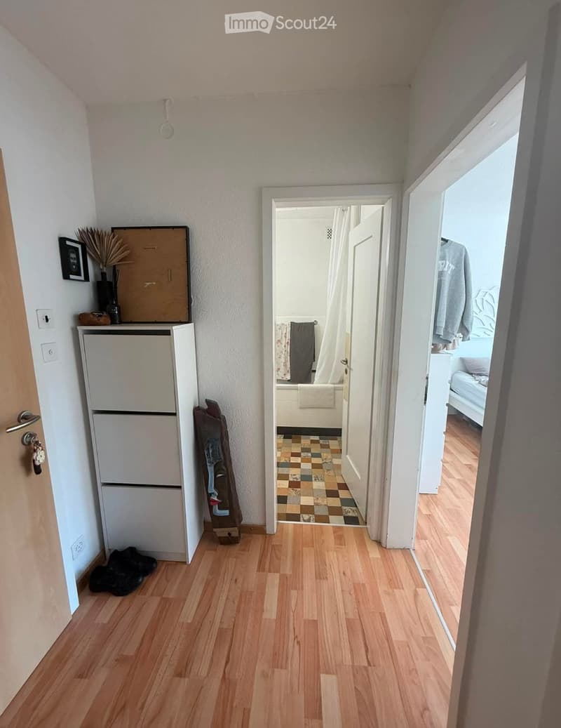 A narrow hallway with wooden flooring, leading to a bathroom and a bedroom. The hallway features a small cabinet with a mirror, a few decorative items, and a pair of shoes on the floor.