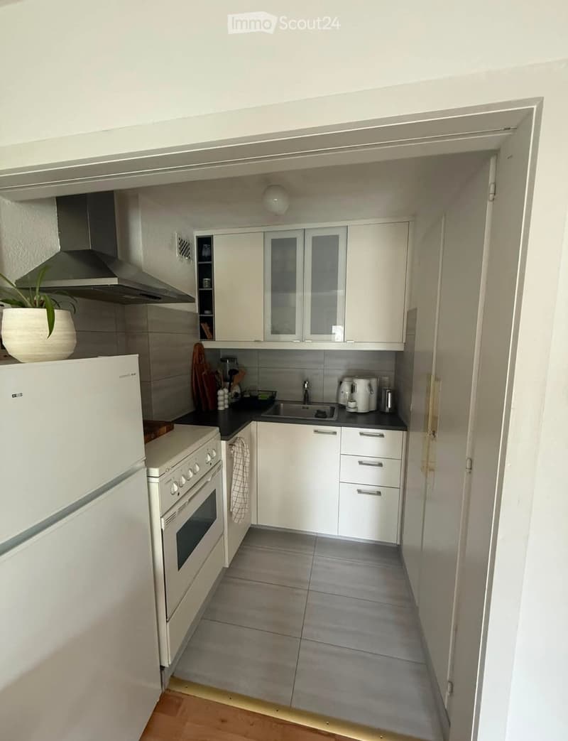 Modern kitchen with white cabinets, stainless steel appliances, and grey tiled flooring. Features a refrigerator, oven, sink, and a small plant on the counter.