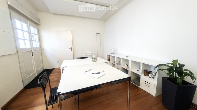 Bright room with wooden flooring, white table, chair, shelves, and a large plant in a pot.