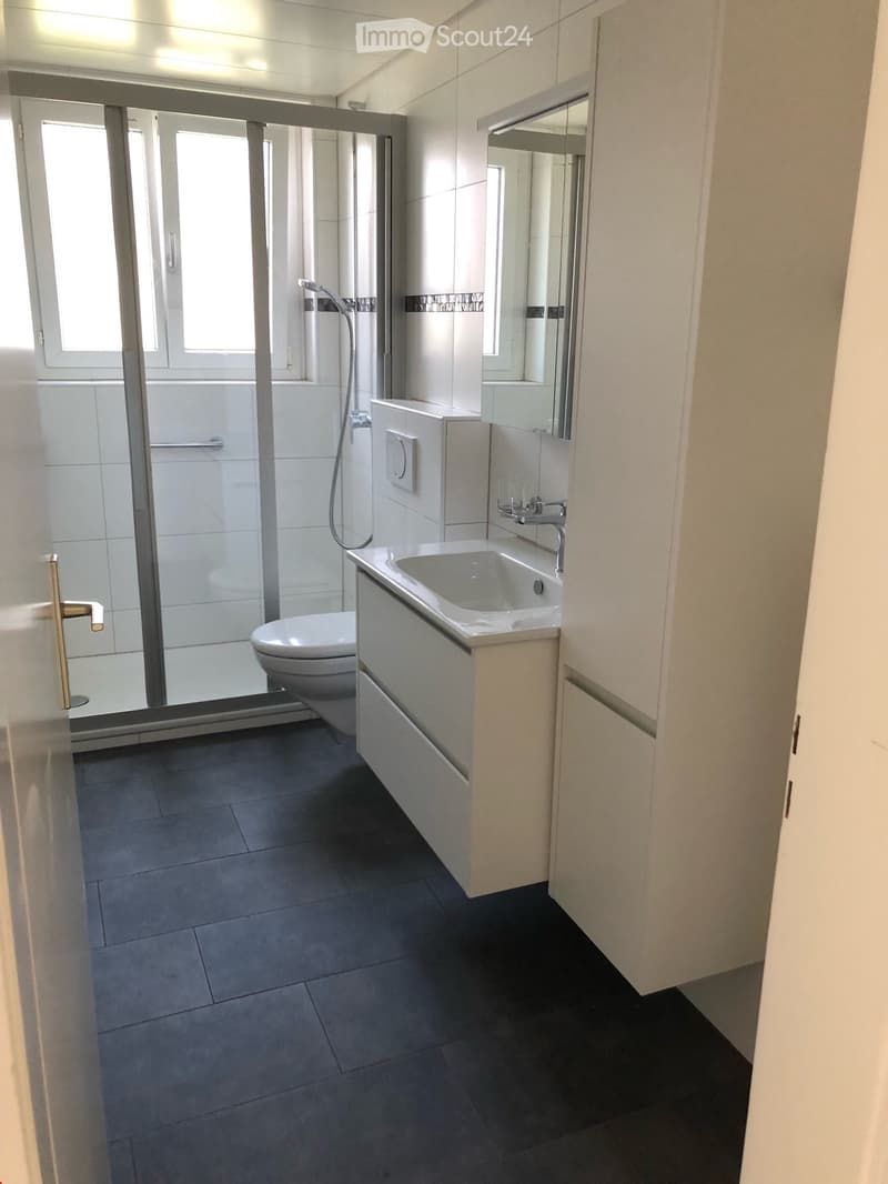 Modern bathroom with dark tiled floor, white walls, sink with mirror, toilet, and glass-enclosed shower area.