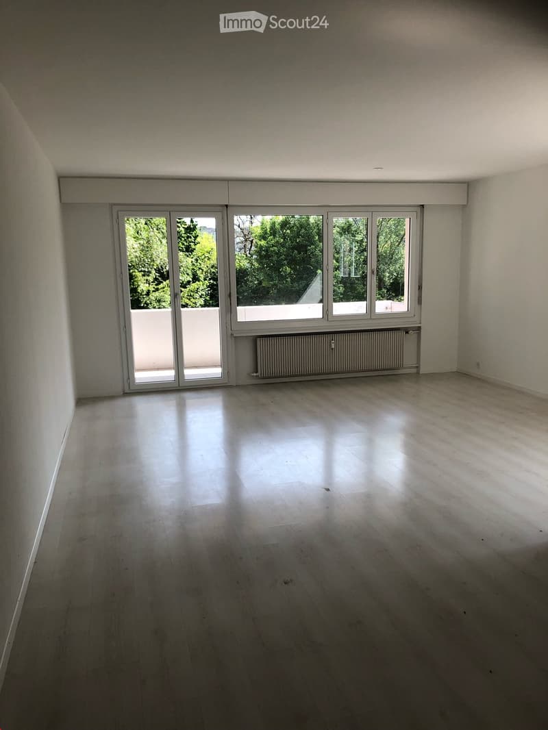 Empty room with light wooden flooring, white walls, large sliding glass doors leading to a balcony, and a radiator below the windows.