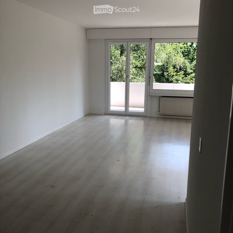 Empty room with light wooden flooring, white walls, large sliding glass doors leading to a balcony, and a radiator visible under the window.