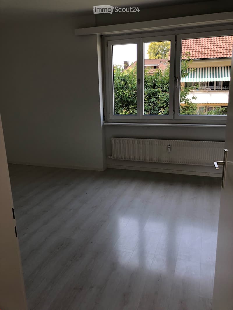 Empty room with light wooden flooring, large window with white frame, radiator below the window, and a door visible on the left side.