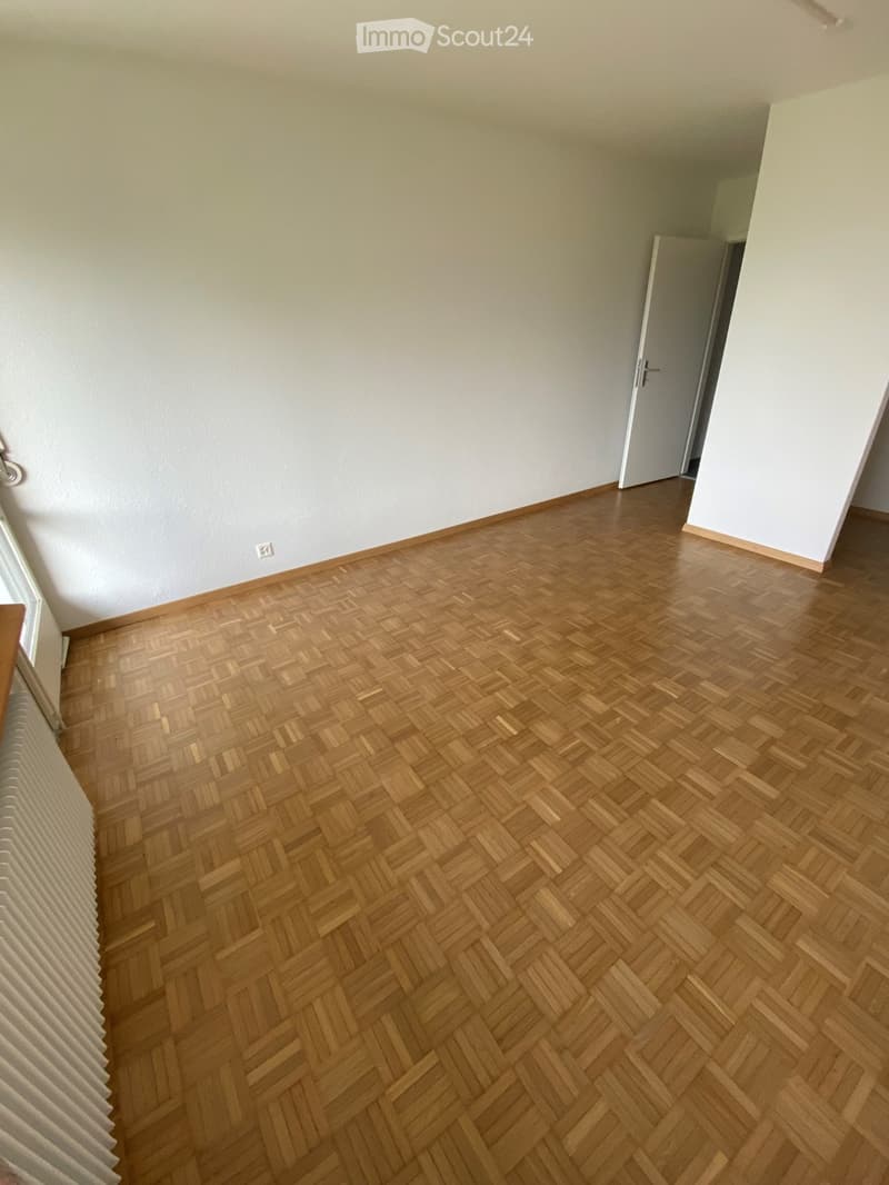 Empty room with wooden herringbone flooring, white walls, and a radiator on the left side.