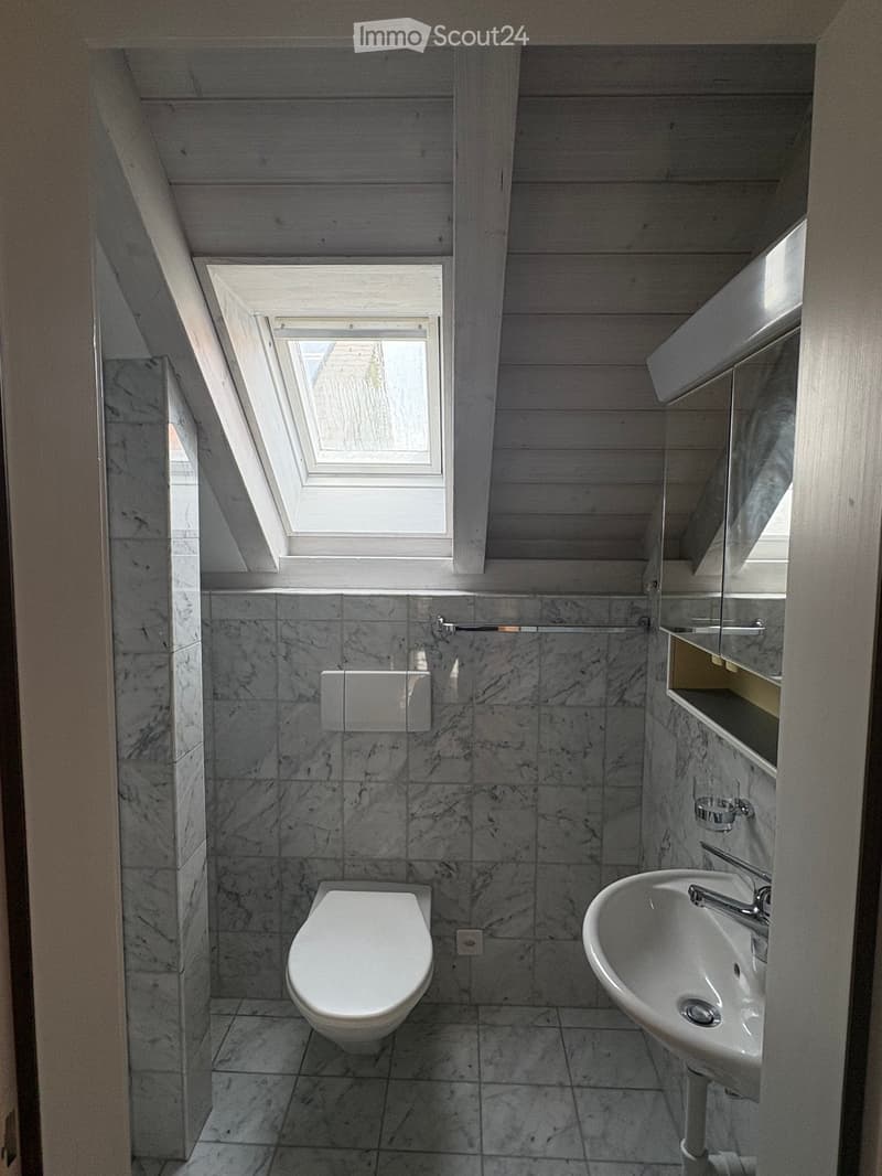 Modern bathroom with marble tiles, a toilet, a sink with a mirror, and a skylight window above.