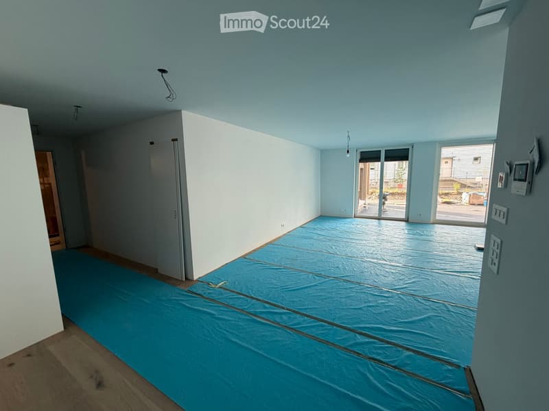 Empty room with light blue walls, wooden flooring, and large sliding glass doors leading to an outdoor area.
