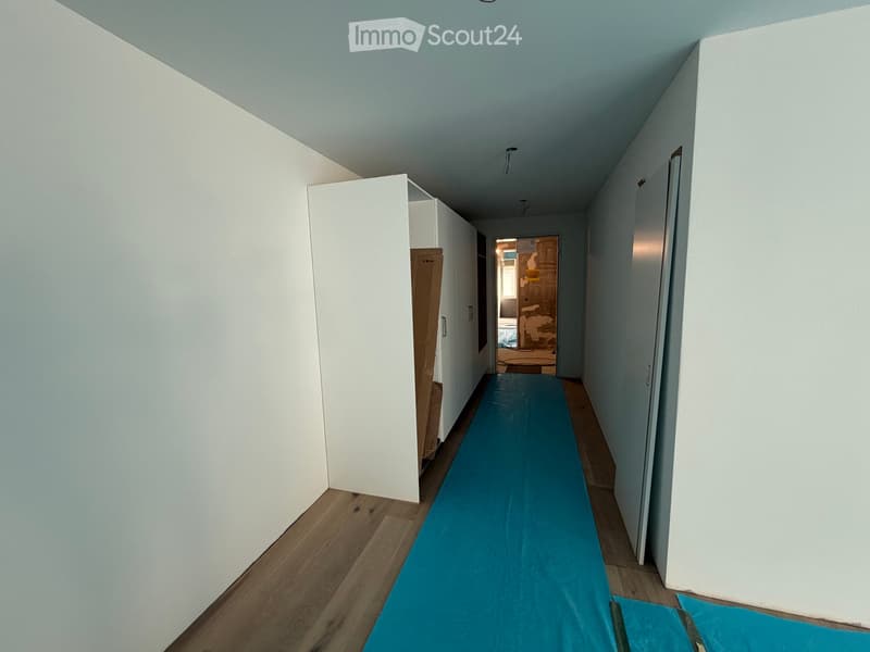 Empty hallway with white walls, wooden flooring, and a blue runner. A partially open closet door and a glimpse of a room at the end.
