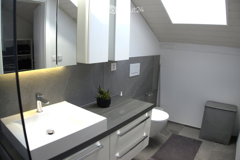 Modern bathroom with a white sink, chrome faucet, white toilet, grey cabinet, and a small potted plant on the counter.