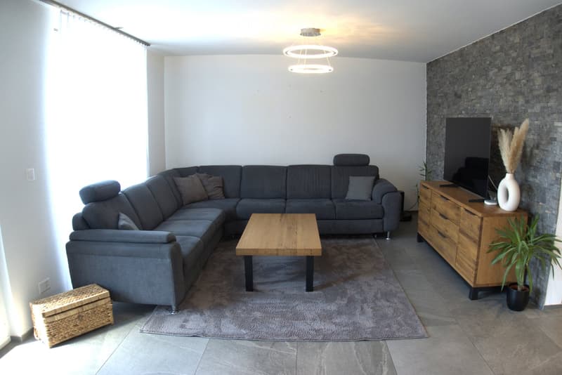 Modern living room with grey sectional sofa, wooden coffee table, TV stand, decorative vase, potted plant, and wicker basket.