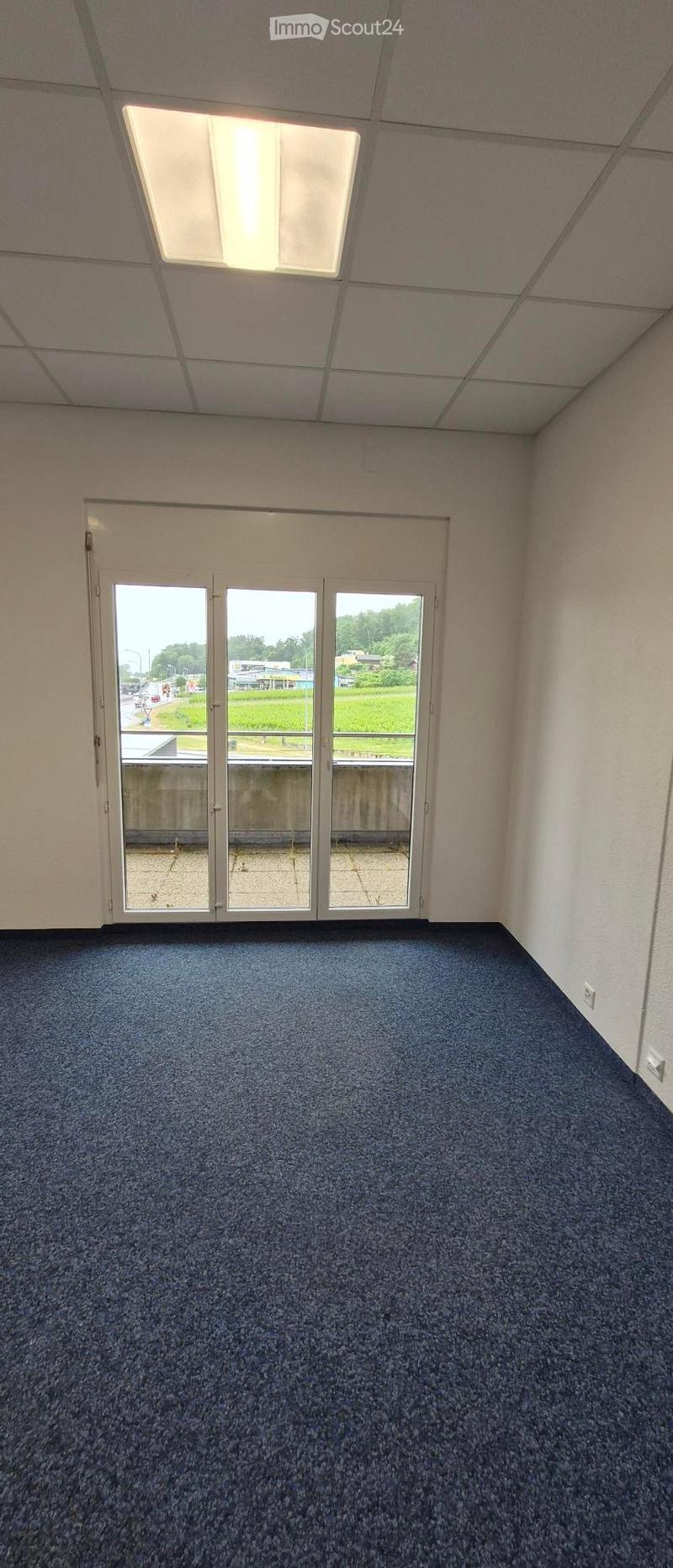 Empty room with blue carpeted floor, white walls, large glass sliding doors leading to an outdoor area, and a ceiling with fluorescent lighting.