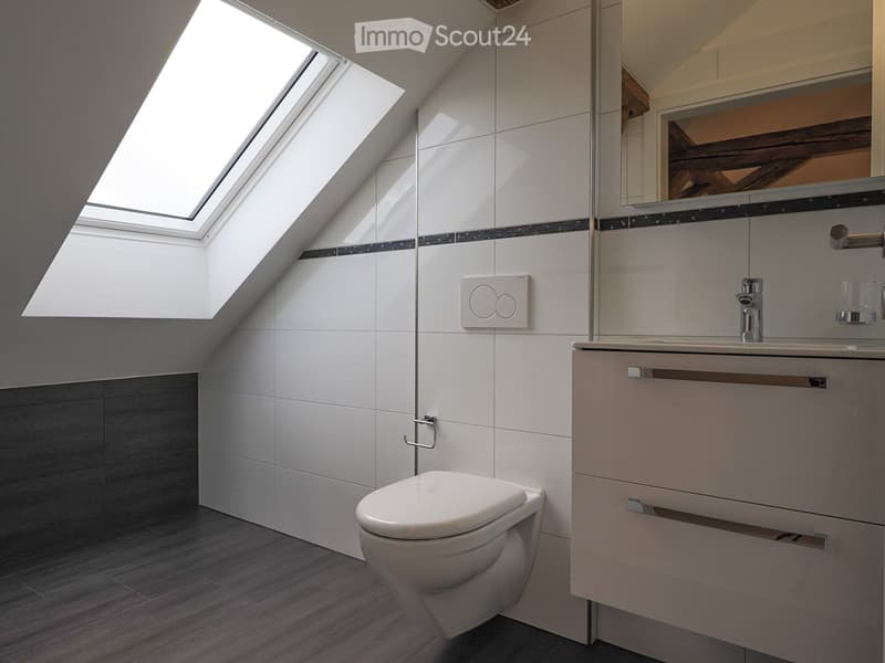 Modern bathroom with white tiles, dark grey accents, a toilet, a sink with a mirror, and a built-in cabinet. Features a skylight window for natural light.