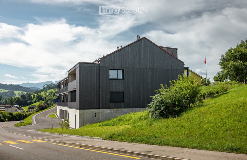 Sloped single family house, concrete and wood facade, multiple windows
