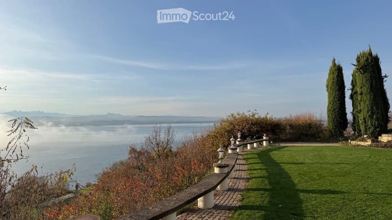 Garden with a view of a lake, featuring a stone bench, well-maintained lawn, and tall cypress trees.