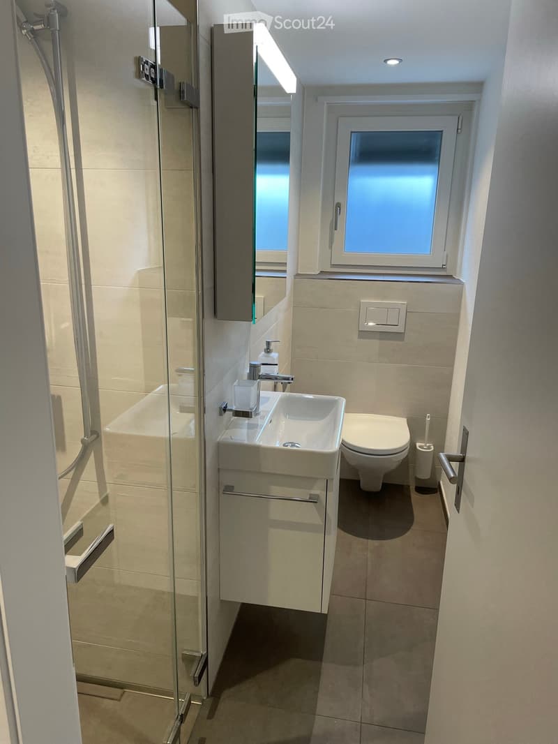 Modern bathroom with a white sink, chrome faucet, toilet, glass-enclosed shower, and a small window above the toilet.
