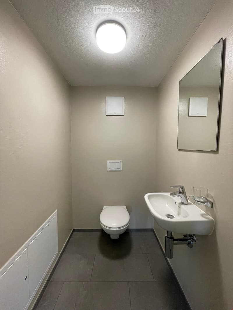 Modern bathroom with a toilet, sink, mirror, and a cup on the sink counter. The room features a round skylight for natural light and neutral-colored tiles.