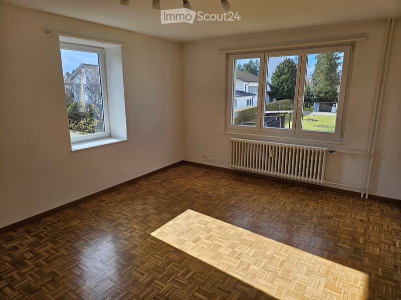 Empty room with wooden herringbone flooring, white walls, large windows, radiator, and natural light.