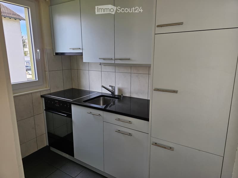 Modern kitchen with white cabinets, black countertop, stainless steel sink, and built-in oven.