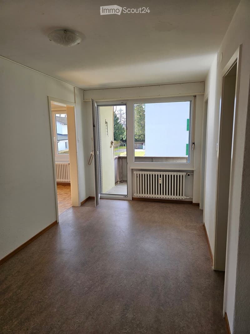 Empty hallway with light-colored walls, carpeted floor, and a ceiling light fixture. Open doors lead to adjacent rooms, with visible radiators and a window at the end.