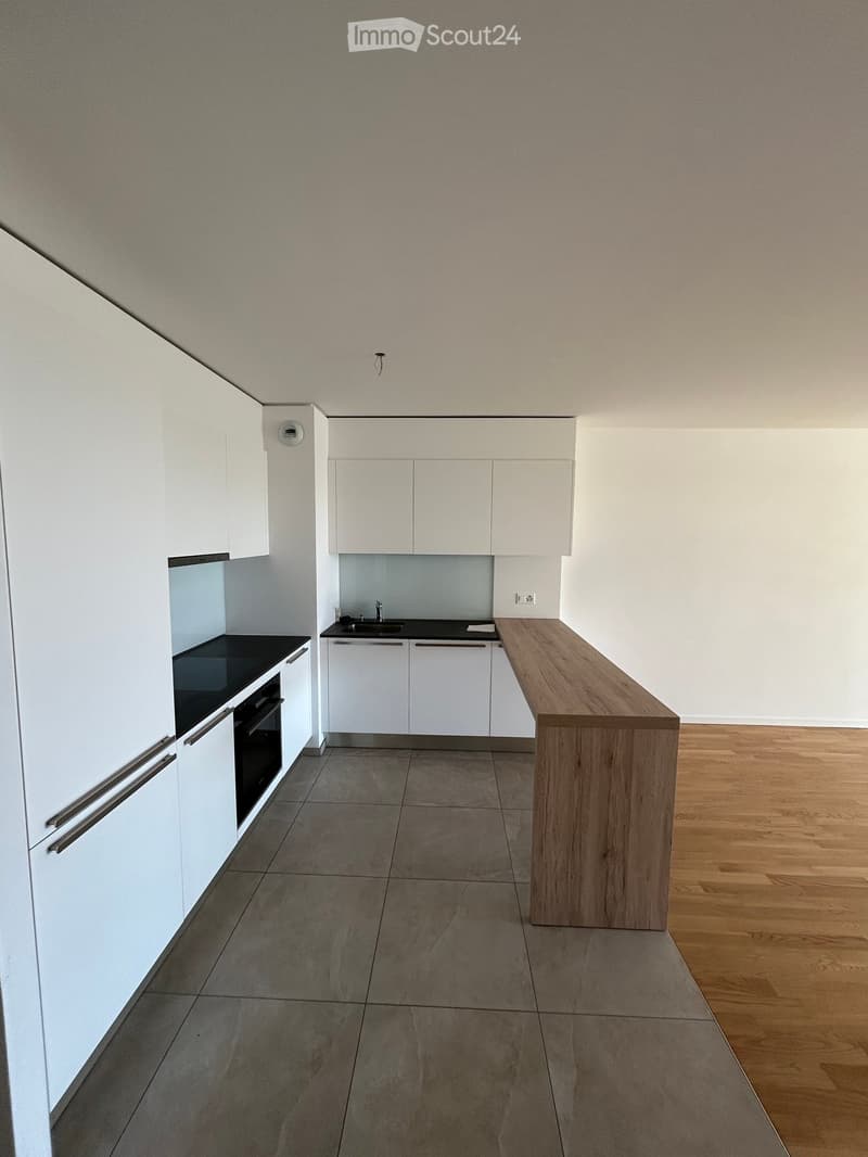 Appartamento a Chavannes-près-Renens (16)