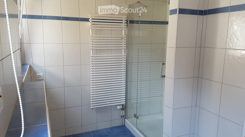 Modern bathroom with tiled walls, a white radiator, and a glass-enclosed shower area.