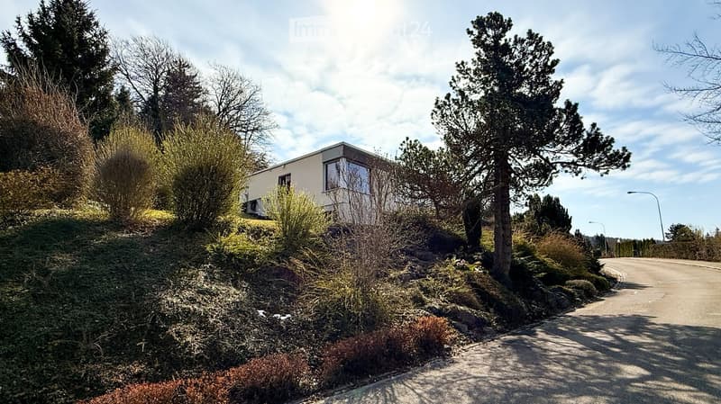 Modern single-story house with large windows, situated on a raised ground floor surrounded by trees and shrubs.