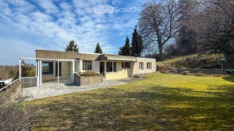 Modern single-story house with a flat roof, large windows, and a spacious lawn in front. The house features a concrete facade and a covered entrance area.