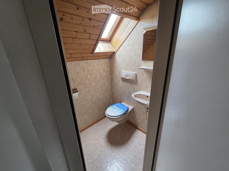 Small bathroom with wooden ceiling, skylight window, tiled walls, toilet with a blue cover, sink, and mirror.