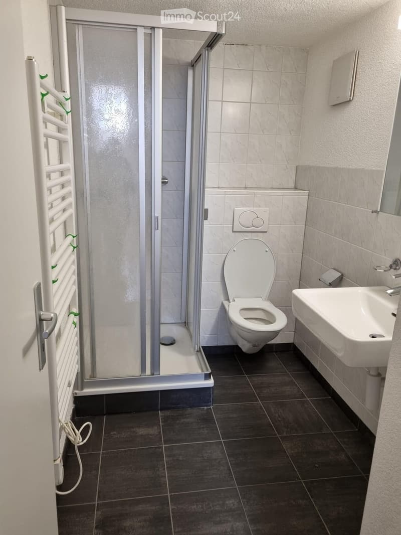 Bathroom with shower, toilet, sink, and towel rack