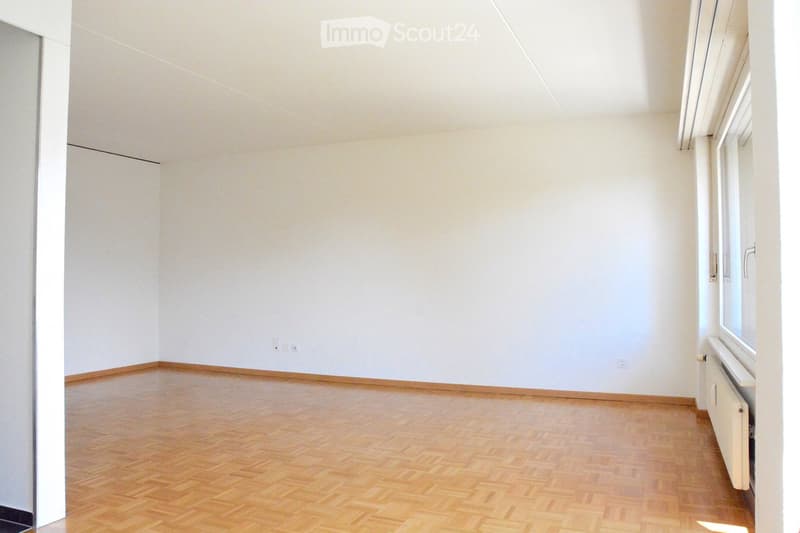 Helle 3.5 Zimmer Wohnung in ruhiger Lage (3)