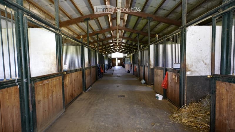 Stables with wooden stalls and metal gates, concrete floor, exposed wooden beams, and scattered hay.