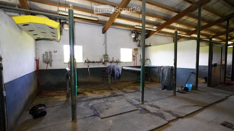 Empty stable with wooden beams, concrete floor, and basic fixtures. No furniture or equipment.