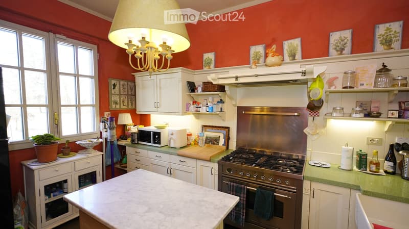 Bright kitchen with white cabinets, stainless steel appliances, and a central island. Features a chandelier, potted plants, and various kitchen items on the counters.