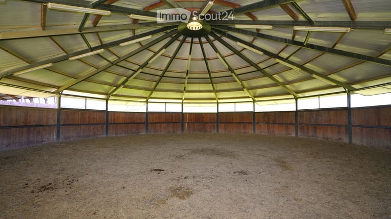 An empty indoor space with wooden walls, a dirt floor, and a large central light fixture with multiple arms extending outward.